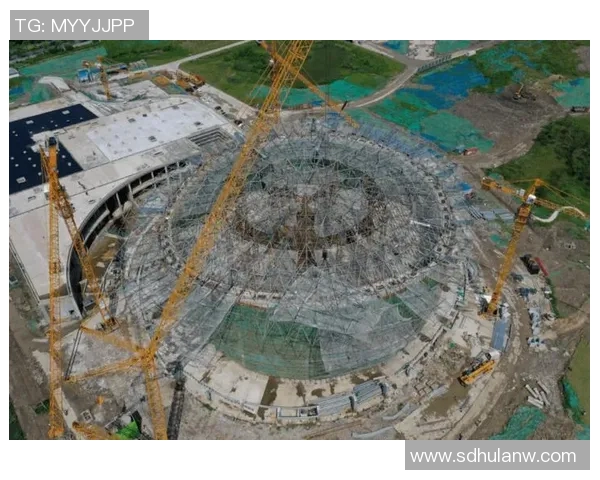 杭州乒乓球队运营策略深度分析与发展前景探讨