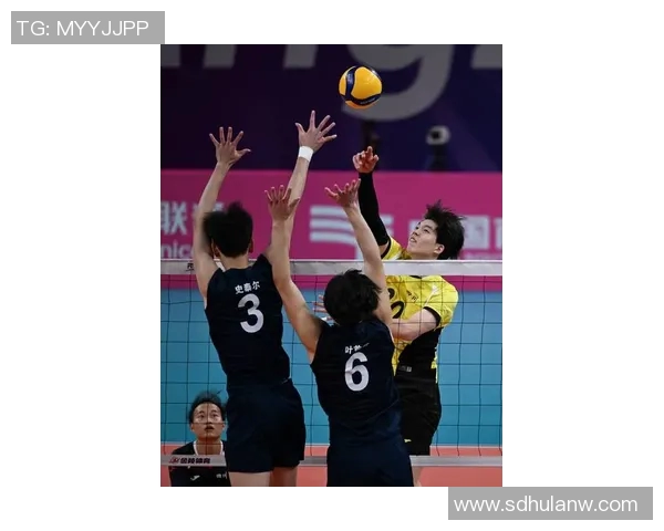 杭州排球队在世界锦标赛中的团队协作展现出色值得赞赏