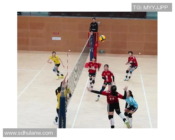 重庆排球队运营揭秘：深度解析排球背后的故事与策略